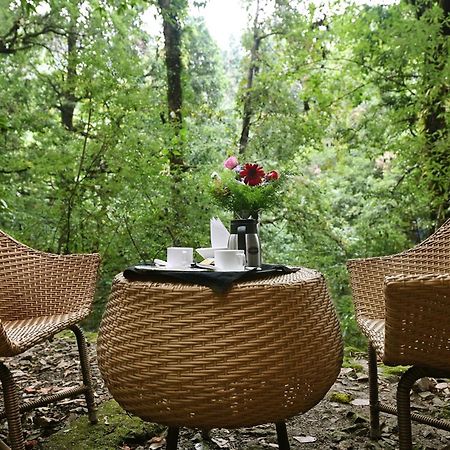 Ayar Jungle Resort Nainital Luaran gambar