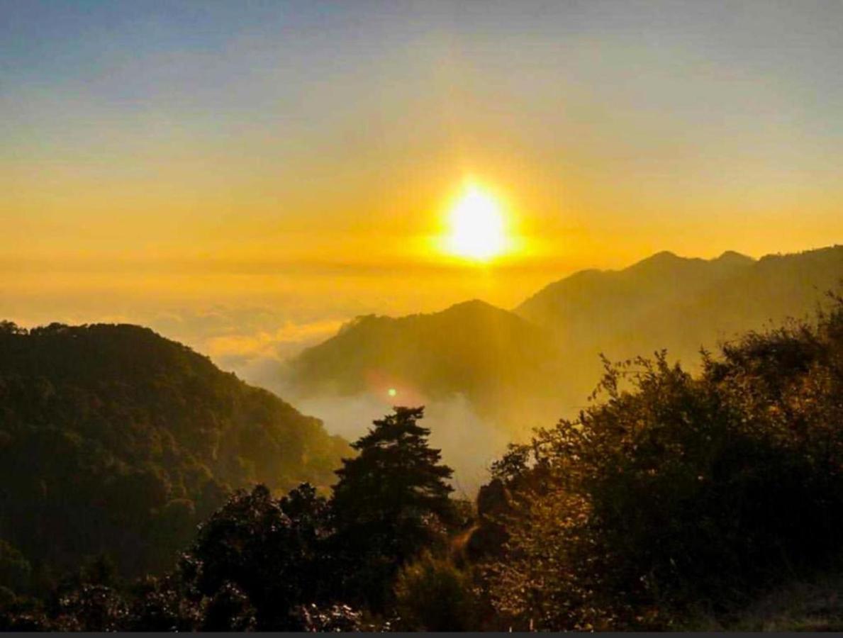 Ayar Jungle Resort Nainital Luaran gambar