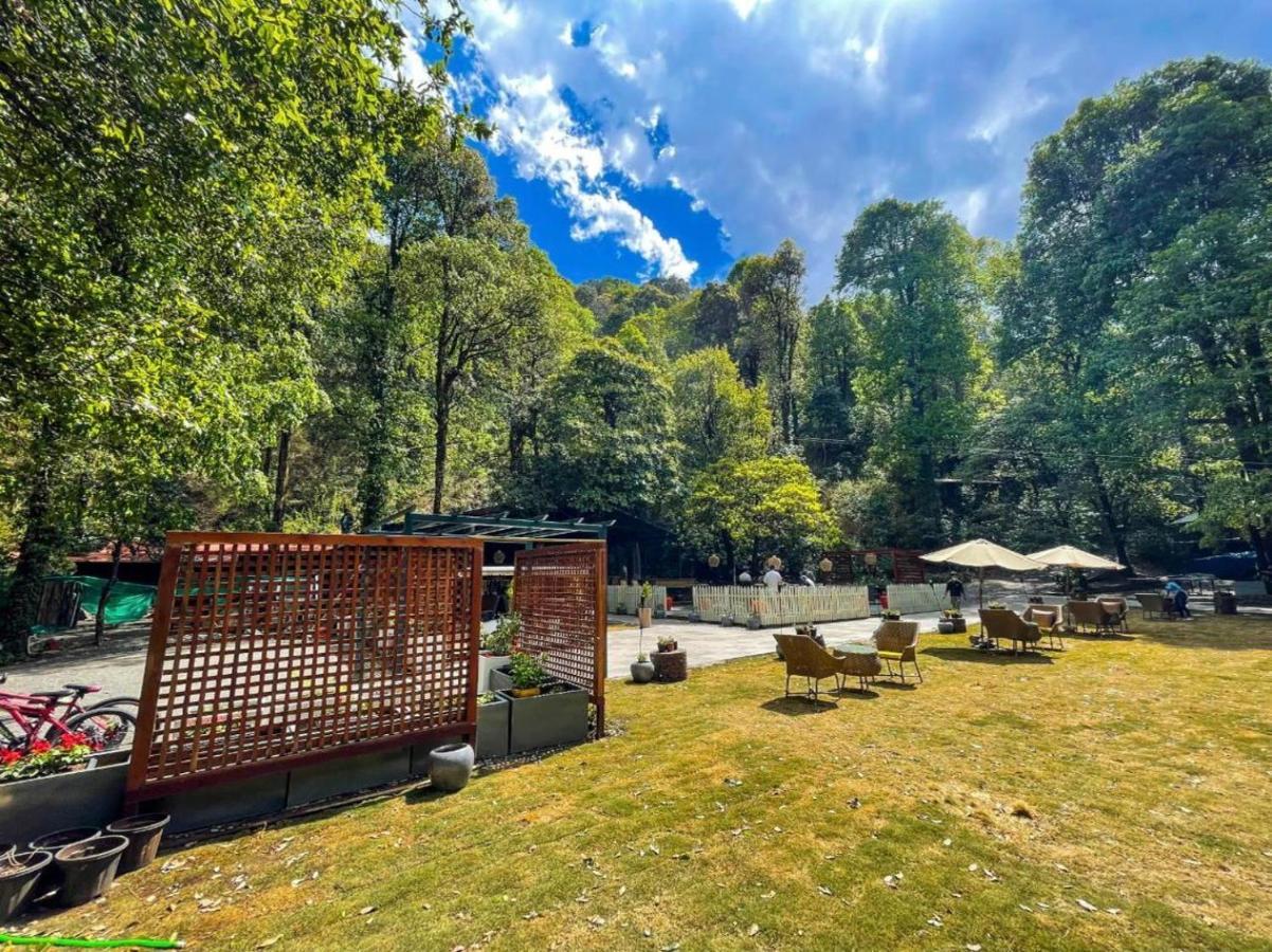 Ayar Jungle Resort Nainital Luaran gambar
