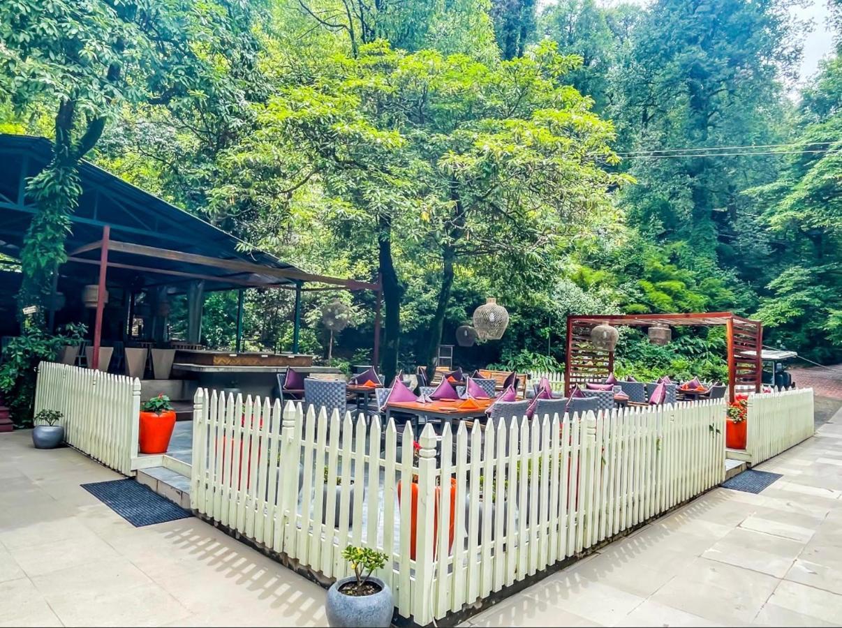 Ayar Jungle Resort Nainital Luaran gambar